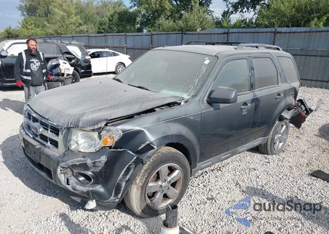 2009 Ford Escape Xlt from USA, damaged, VIN 1FMCU03GX9KC81425